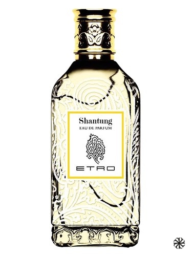 Shantung Etro