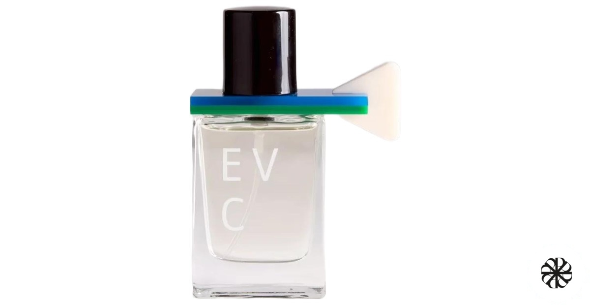 Into EVC PARFUM