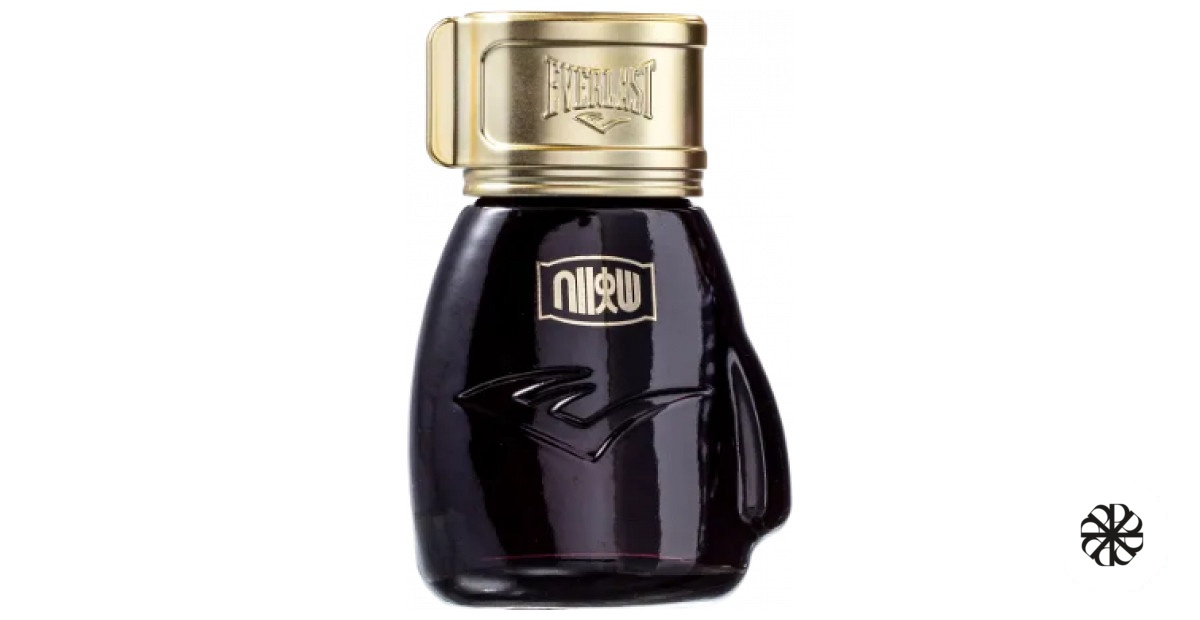 Choice Of Champions Street Fighter Metro City Everlast