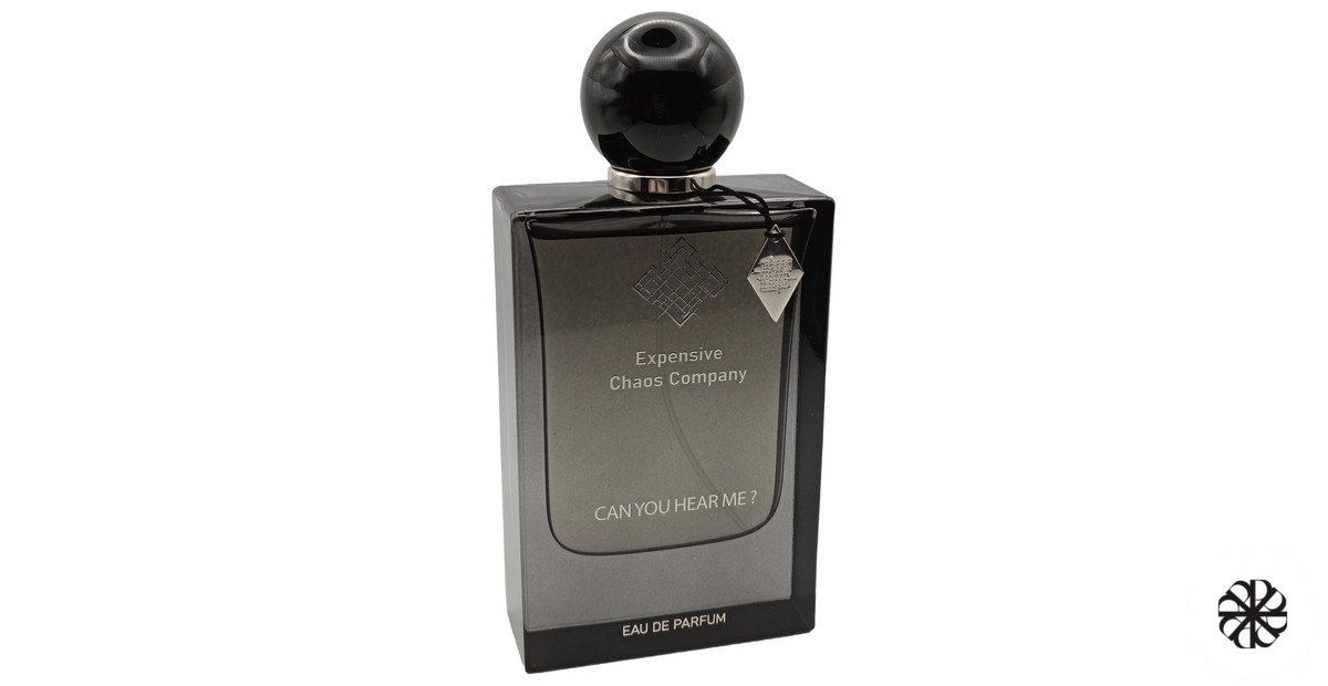 Can You Hear Me? Expensive Chaos Company