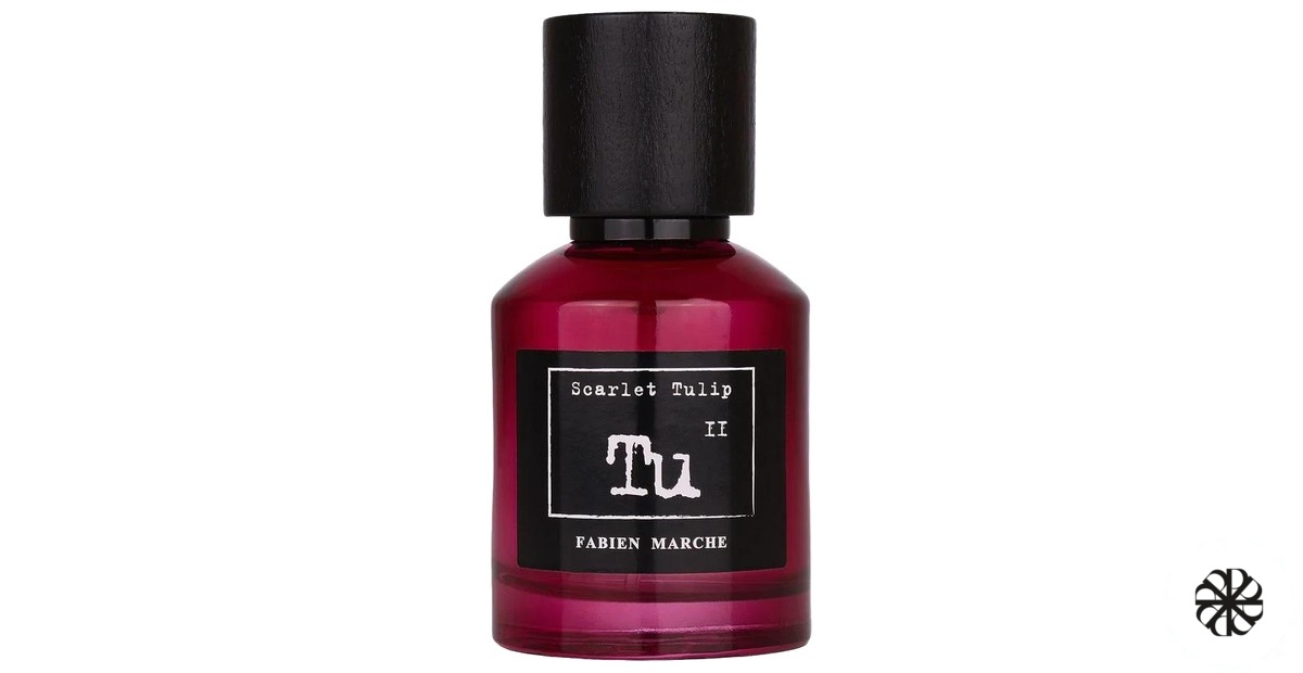 Tu11 Scarlet Tulip Fabien Marche