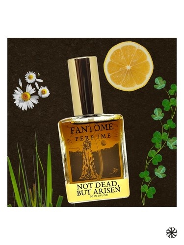 Not Dead, but Arisen Fantôme