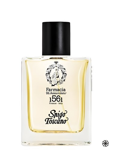 Spigo Toscano Farmacia SS. Annunziata