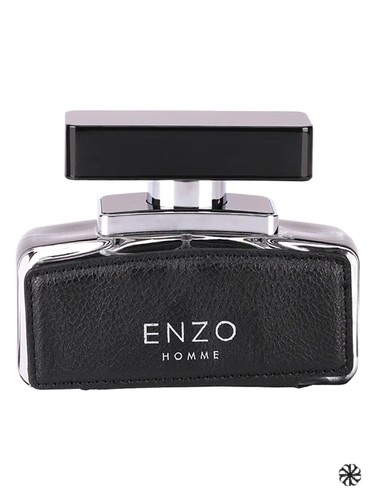 Enzo Homme Flavia