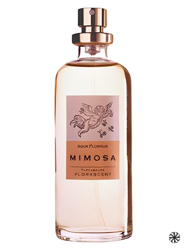 Mimosa Florascent