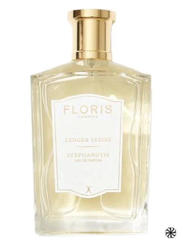 Stephanotis Floris