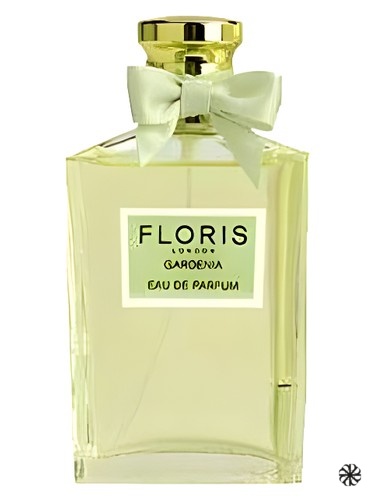 Gardenia Floris