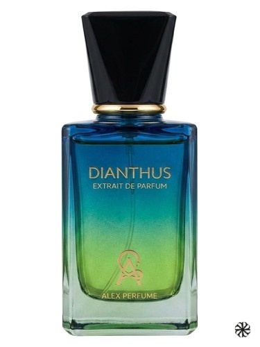 Dianthus Alex Perfume