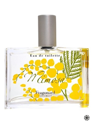 Mimosa Fragonard