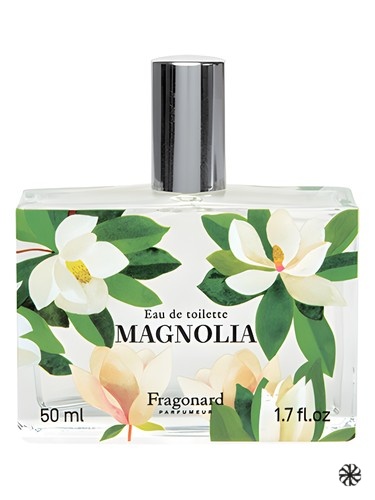 Magnolia Fragonard