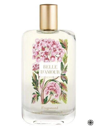 Belle d'Amour Fragonard