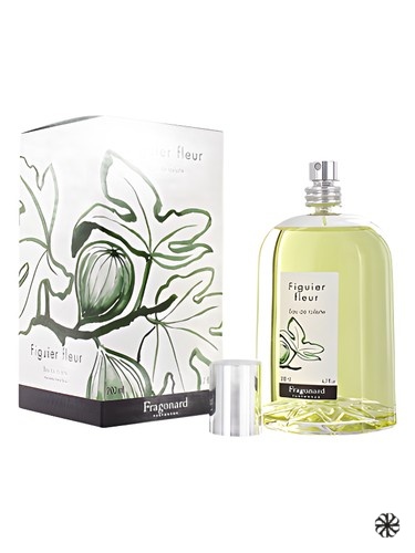 Les Naturelles: Figuier fleur Fragonard