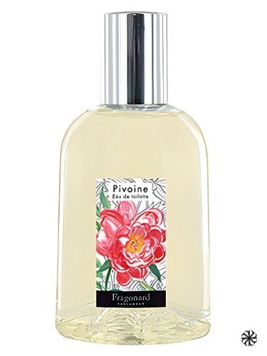 Pivoine Fragonard