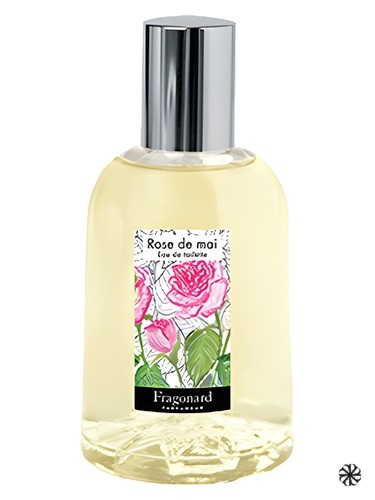 Rose de Mai Fragonard