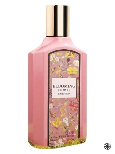 Blooming Flower Gardenia Fragrance World