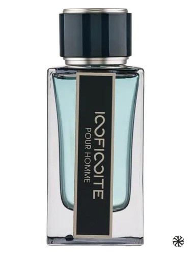 Infinite Pour Homme Fragrance World