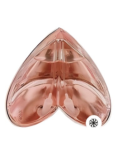 Kingdom Limited Edition Alexander McQueen