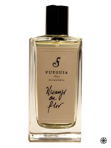 Naranjo en Flor Fueguia 1833