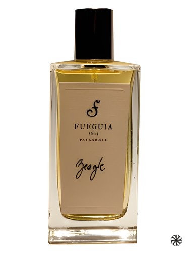 Beagle Fueguia 1833