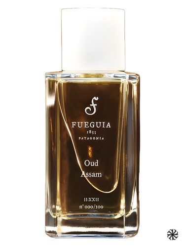 Oud Assam Fueguia 1833