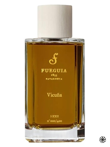Vicuña Fueguia 1833