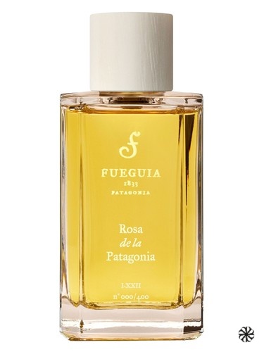 Rosa de la Patagonia Fueguia 1833