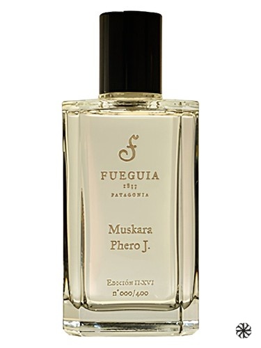 Muskara Phero J Fueguia 1833