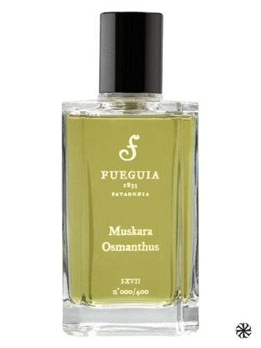 Muskara Osmanthis Fueguia 1833