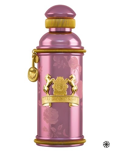 Rose Oud Alexandre.J
