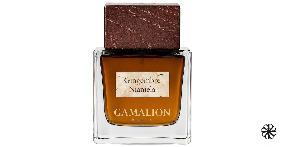 Gingembre Nianiela Gamalion Paris