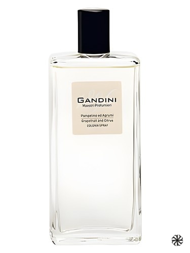 Grapefruit and Citrus Gandini 1896