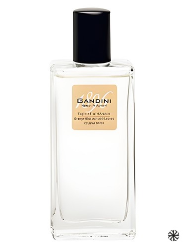 Orange Blossom and Leaf Gandini 1896
