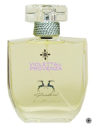 Violetta di Provenza Gandini 1896