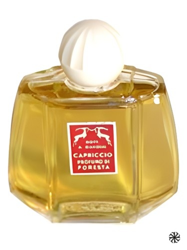 Capriccio Gandini 1896