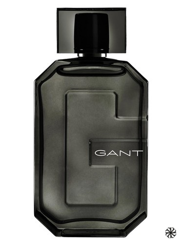 Midnight Gant
