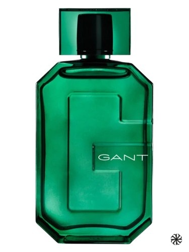 Ivy Gant
