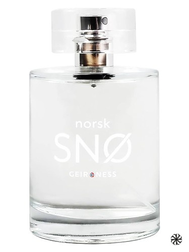Norsk Snø Geir Ness