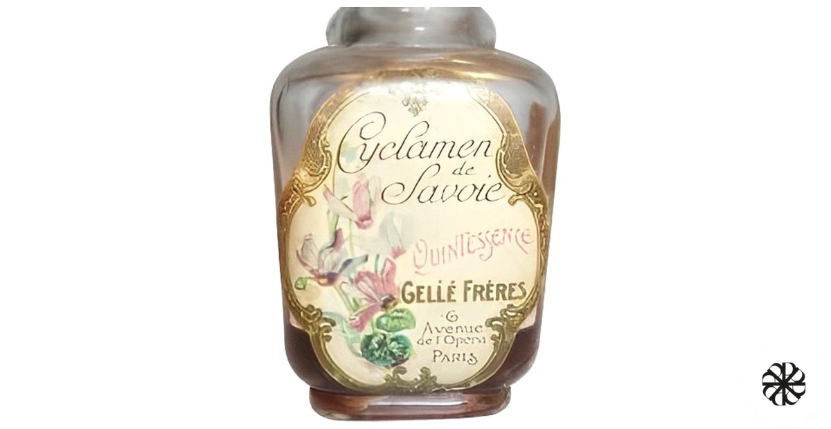 Cyclamen de Savoie Gelle Freres