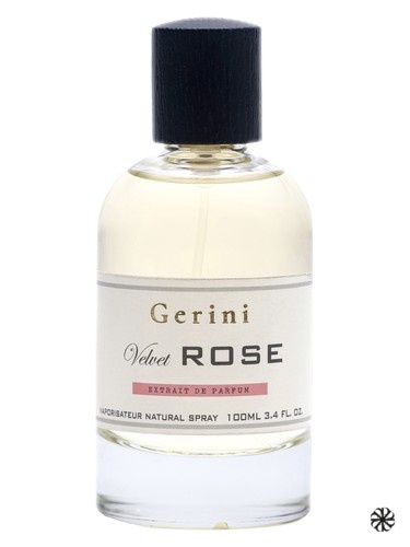 Velvet Rose Gerini