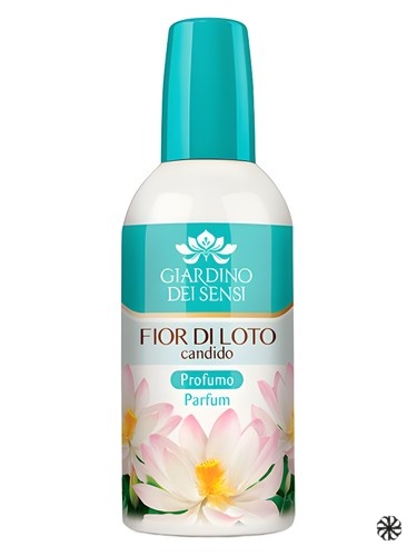 Fior di Loto Candido Giardino Dei Sensi