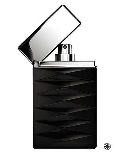 Armani Attitude Giorgio Armani