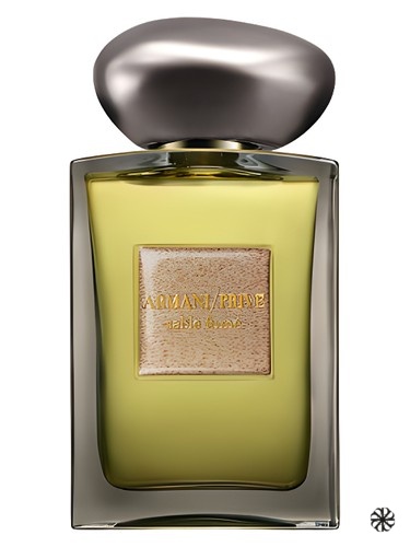 Sable Fume Giorgio Armani