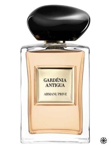 Gardénia Antigua Giorgio Armani