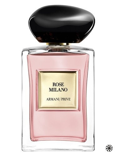 Rose Milano Giorgio Armani