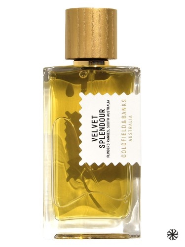 Velvet Splendour Goldfield & Banks Australia