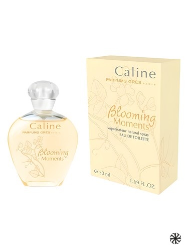 Caline Blooming Moments Grès