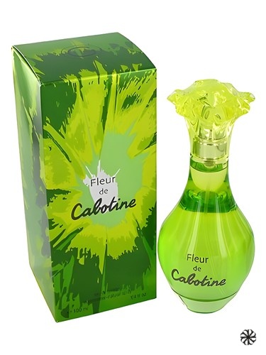 Fleur de Cabotine Grès