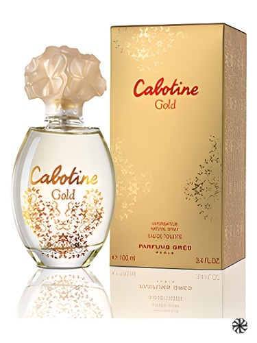 Cabotine Gold Grès