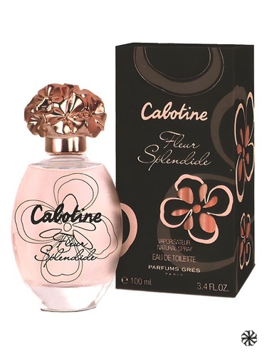 Cabotine Fleur Splendide Grès