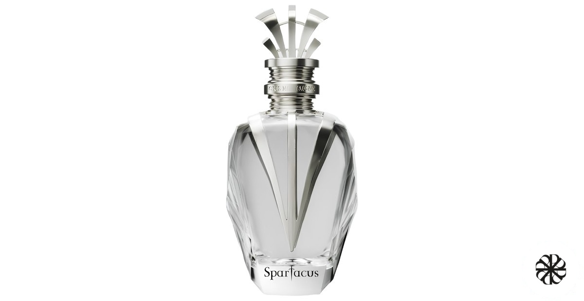 Spartacus Gris Montaigne Paris